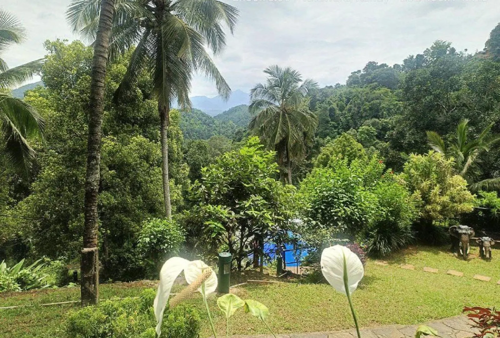 Nature Resort Layathraa Kandy